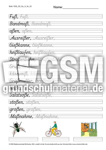 DSS_2S_Bu_ß_Nr_02.pdf